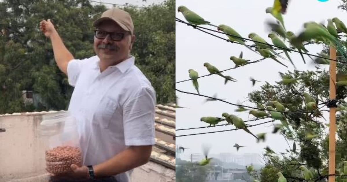 This man feeds 3000 birds every day, has been doing this work for 15 years, spends 80 percent of his earnings on animals!