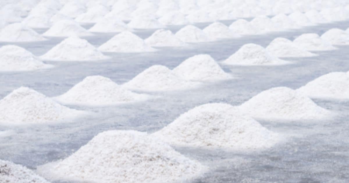 Scientists were excavating the lake, then saw a store of ‘white gold’, eyes lit up as soon as they saw it!