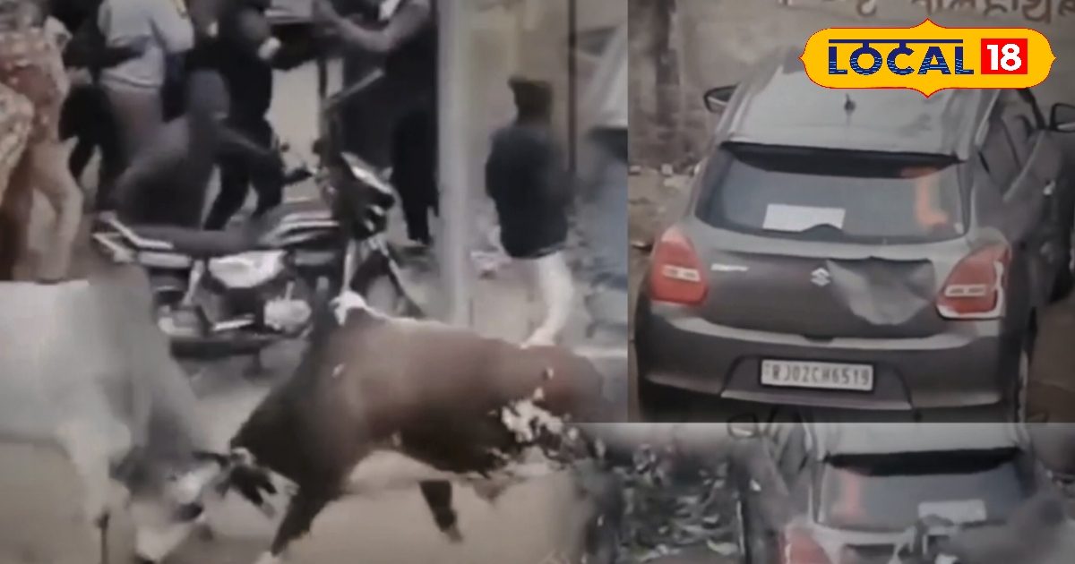 Bull Fight: Two bulls clash in the middle of the road in Deeg, chaos in the market, people upset due to negligence of municipality.